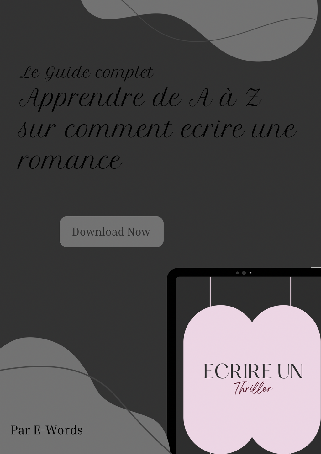 Écrire un Thriller (Précommande)